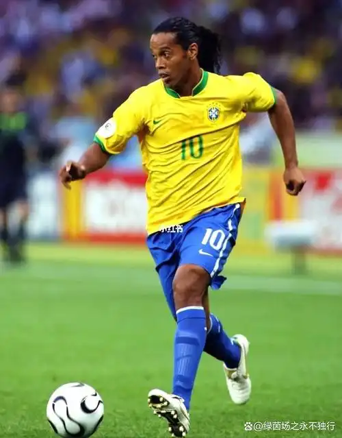 迷忠诚度 迷忠诚度